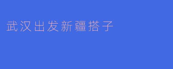 从武汉出发去新疆,有什么推荐的搭子活动吗?