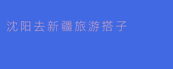 沈阳去新疆旅游搭子