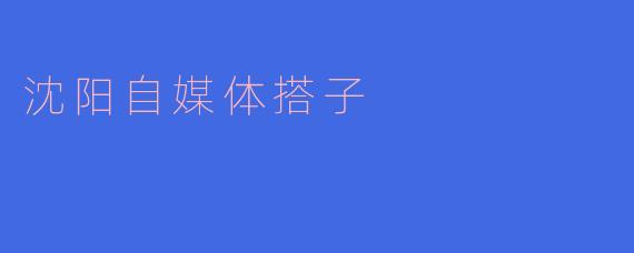沈阳自媒体搭子具体是指什么？**