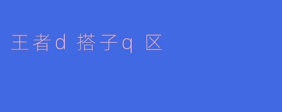 王者d搭子q区是什么?