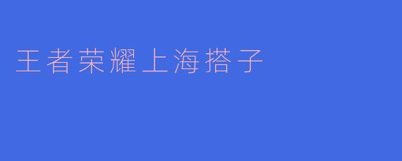 王者荣耀上海搭子是什么？****