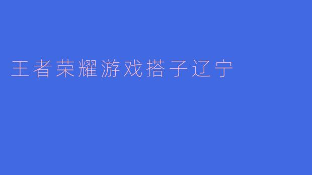 王者荣耀游戏搭子辽宁