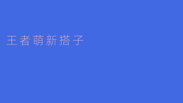 ### 从萌新到高手，王者荣耀搭子的成长之路