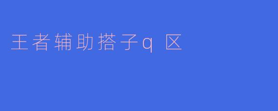 王者辅助搭子q区是什么?
