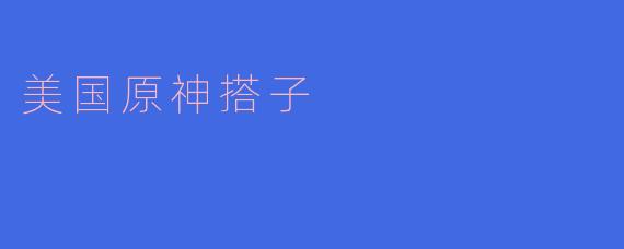 美国原神搭子