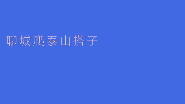 ### 聊城爬泰山搭子的美好时光