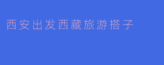 西安出发西藏旅游搭子