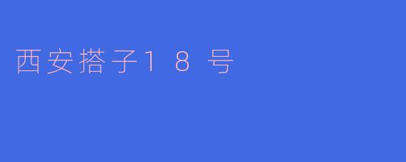 西安搭子18号