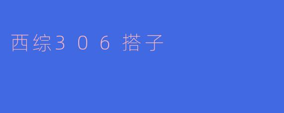 西综306搭子的活动内容有哪些?