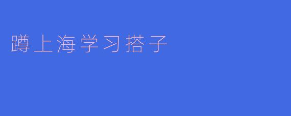 什么是“蹲上海学习搭子”？**