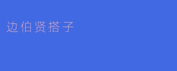 边伯贤的搭子是谁？  