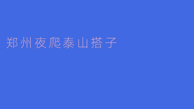郑州夜爬泰山搭子