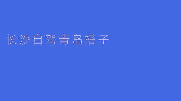 我想从长沙自驾去青岛，有没有推荐的搭子一起行驶？