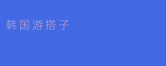 韩国游搭子