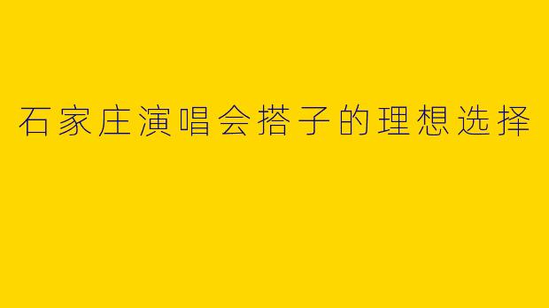 石家庄演唱会搭子的理想选择