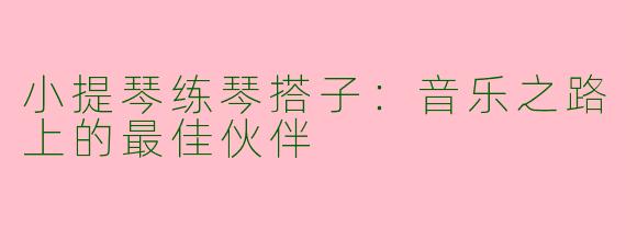 小提琴练琴搭子：音乐之路上的最佳伙伴