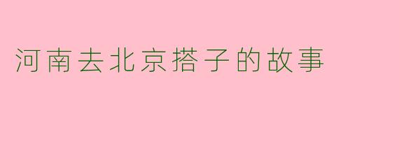 河南去北京搭子的故事