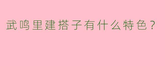 武鸣里建搭子有什么特色?