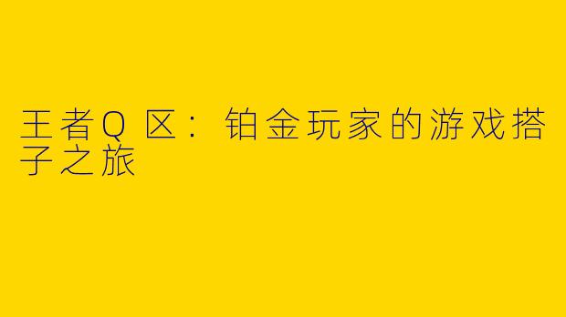 王者Q区：铂金玩家的游戏搭子之旅