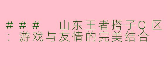 ### 山东王者搭子Q区：游戏与友情的完美结合