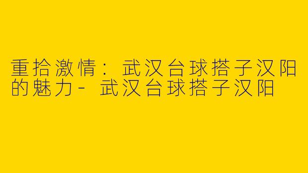 重拾激情：武汉台球搭子汉阳的魅力-武汉台球搭子汉阳