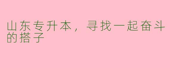 山东专升本，寻找一起奋斗的搭子