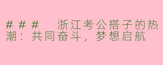 ### 浙江考公搭子的热潮：共同奋斗，梦想启航