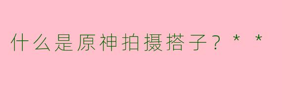 什么是原神拍摄搭子?**