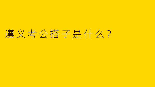 遵义考公搭子是什么?
