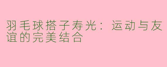 羽毛球搭子寿光:运动与友谊的完美结合