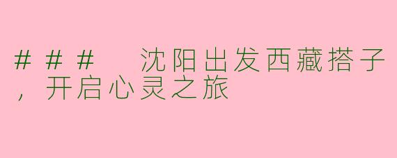 ### 沈阳出发西藏搭子，开启心灵之旅