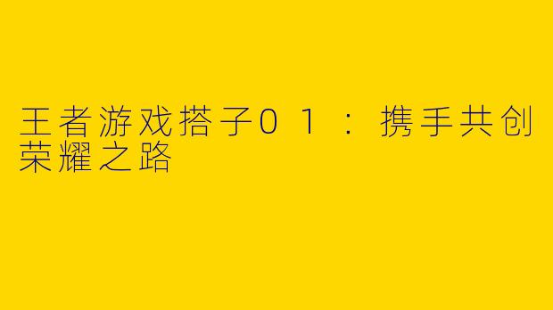 王者游戏搭子01：携手共创荣耀之路
