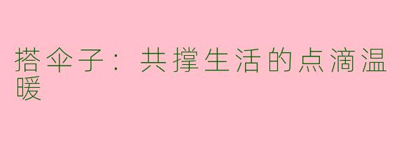 搭伞子：共撑生活的点滴温暖