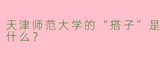 天津师范大学的“搭子”是什么?