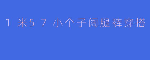 1米57小个子阔腿裤穿搭