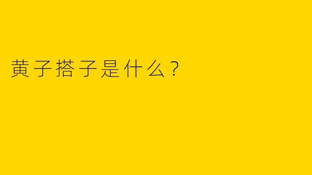 黄子搭子是什么？