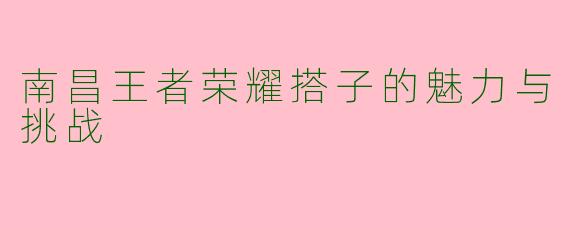 南昌王者荣耀搭子的魅力与挑战