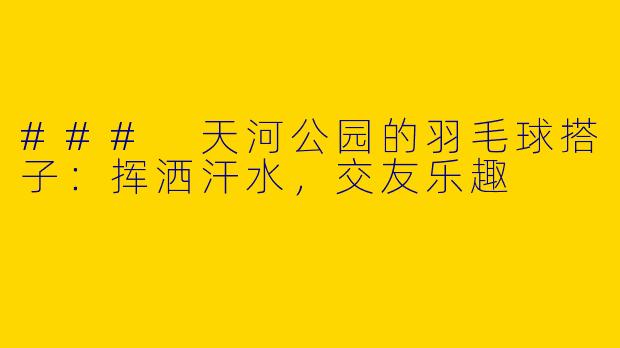### 天河公园的羽毛球搭子：挥洒汗水，交友乐趣