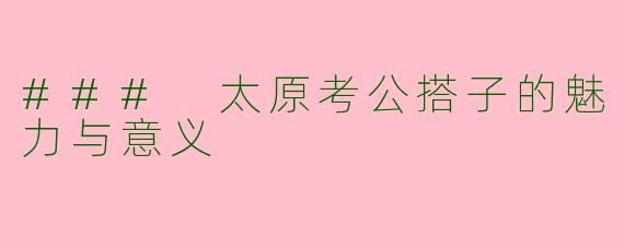 ### 太原考公搭子的魅力与意义