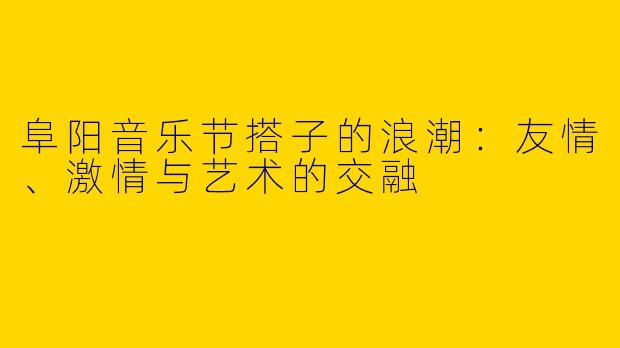 阜阳音乐节搭子的浪潮：友情、激情与艺术的交融