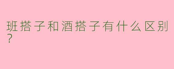 班搭子和酒搭子有什么区别？