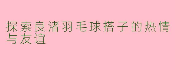 探索良渚羽毛球搭子的热情与友谊