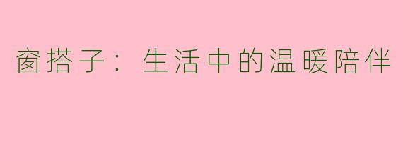窗搭子：生活中的温暖陪伴