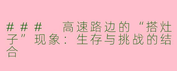 ### 高速路边的“搭灶子”现象:生存与挑战的结合