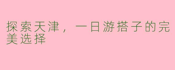探索天津，一日游搭子的完美选择