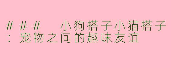 ### 小狗搭子小猫搭子：宠物之间的趣味友谊