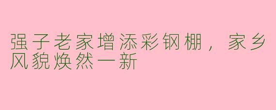 强子老家增添彩钢棚，家乡风貌焕然一新