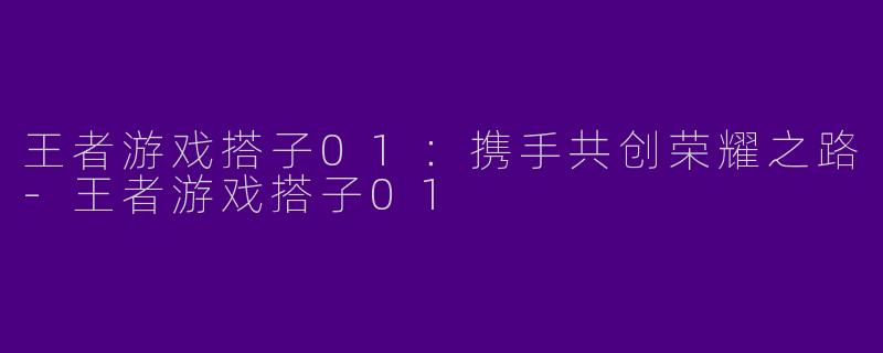 王者游戏搭子01：携手共创荣耀之路-王者游戏搭子01