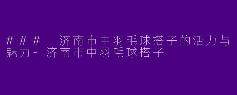 ### 济南市中羽毛球搭子的活力与魅力-济南市中羽毛球搭子