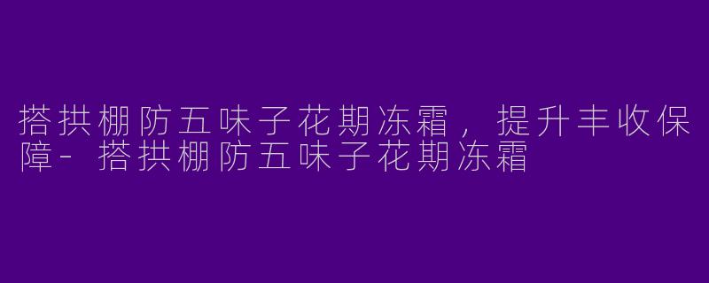 搭拱棚防五味子花期冻霜，提升丰收保障-搭拱棚防五味子花期冻霜